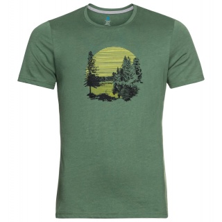 Odlo Wander-/Freizeit Tshirt Crew Neck Nikko mit Waldprint (50% Baumwolle, 50% Polyester) grün Herren